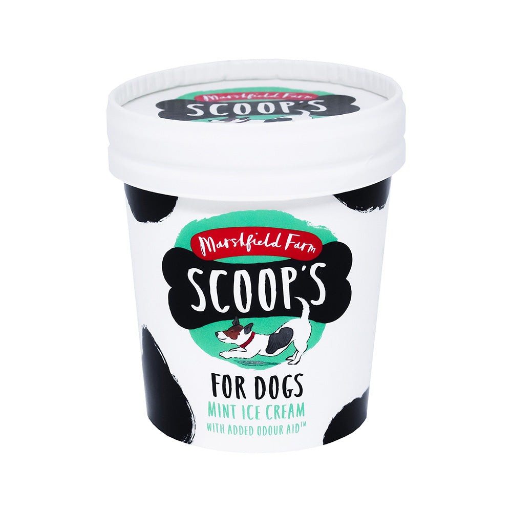 Dog's Ice Cream - Mint Ice Cream