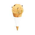 Glace Dreams - Rum and Raisin Gelato