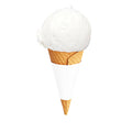 Vegan Coconut